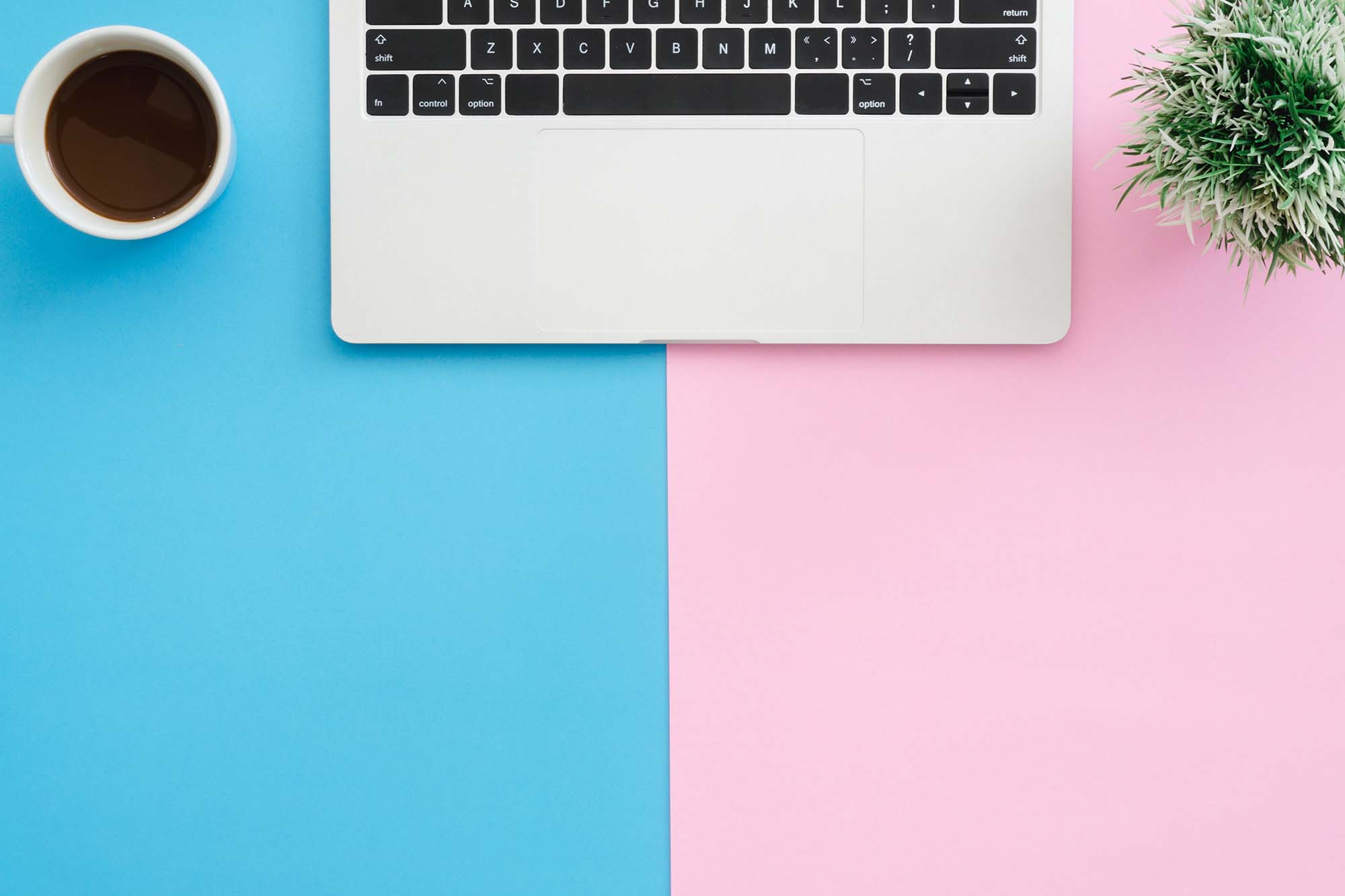 virtual gender reveal - laptop on blue pink